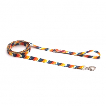 SUPER GUIA PARA CACHORROS INTI