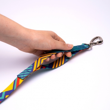 SUPER GUIA PARA CACHORROS T-MUTTS